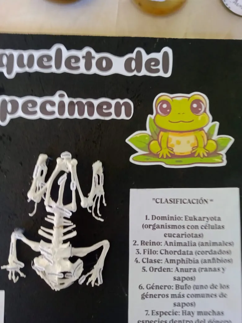 maqueta (4).jpeg