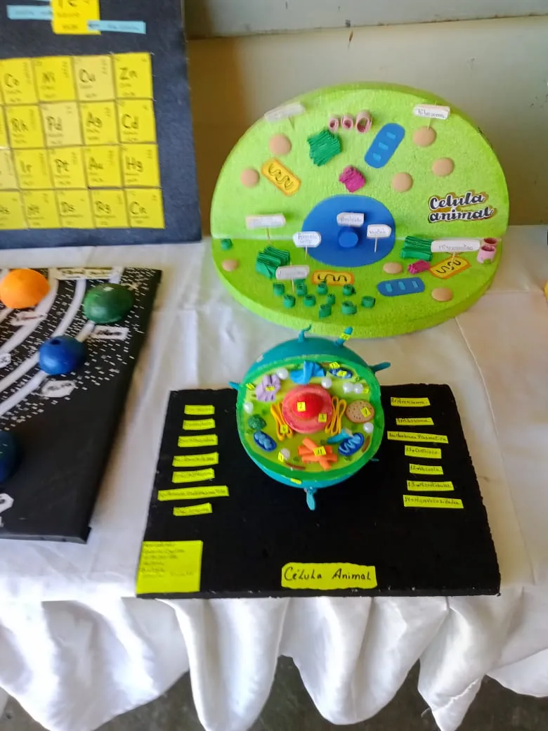 maqueta (7).jpeg