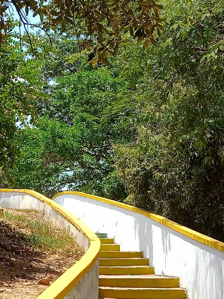 CONCHA (9).jpeg