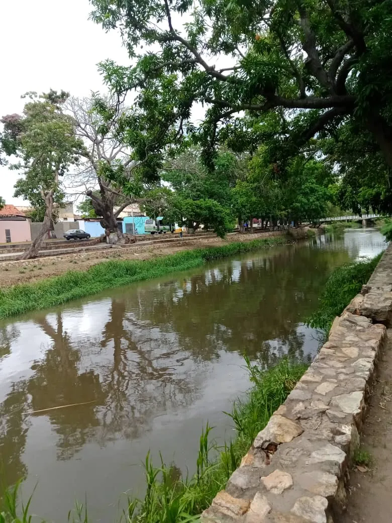 parque (4).jpeg