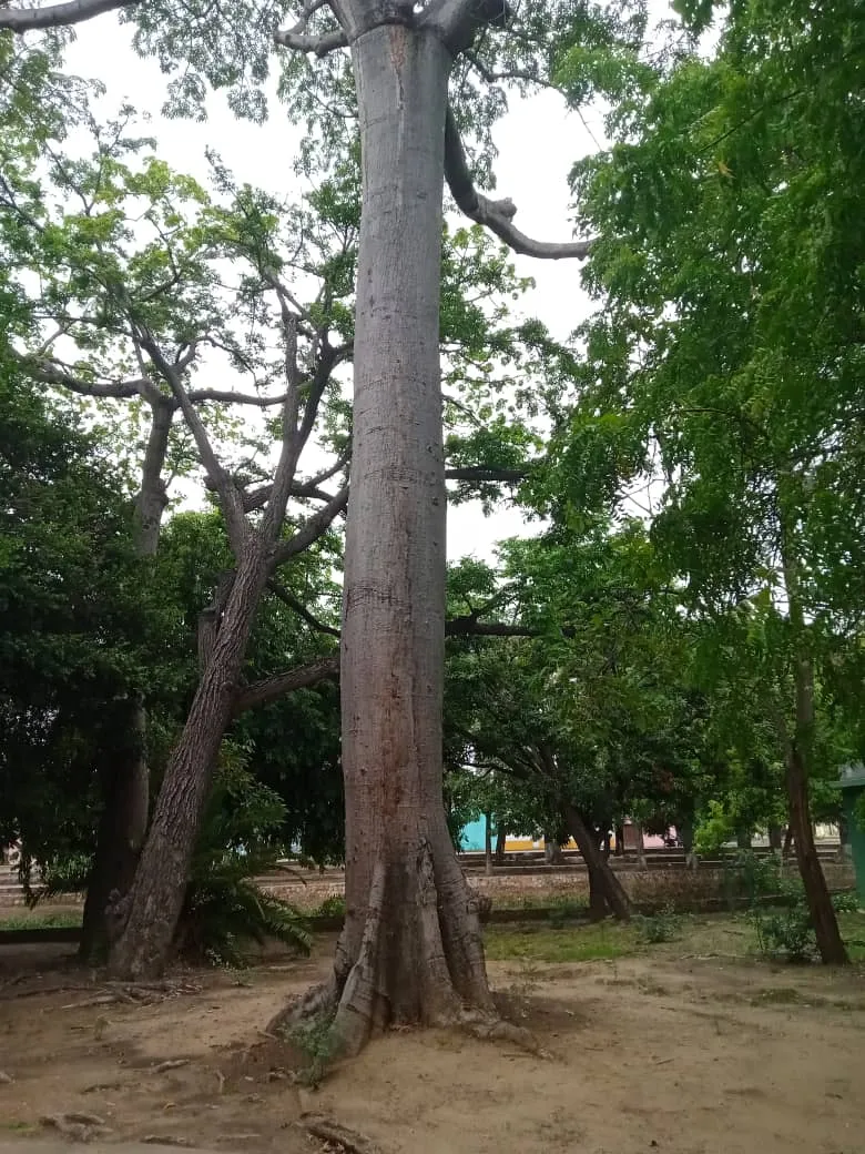 parque río (10).jpeg