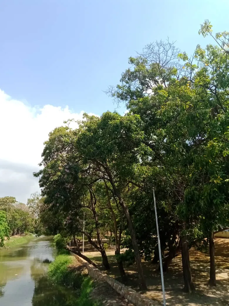 parque río (3).jpeg