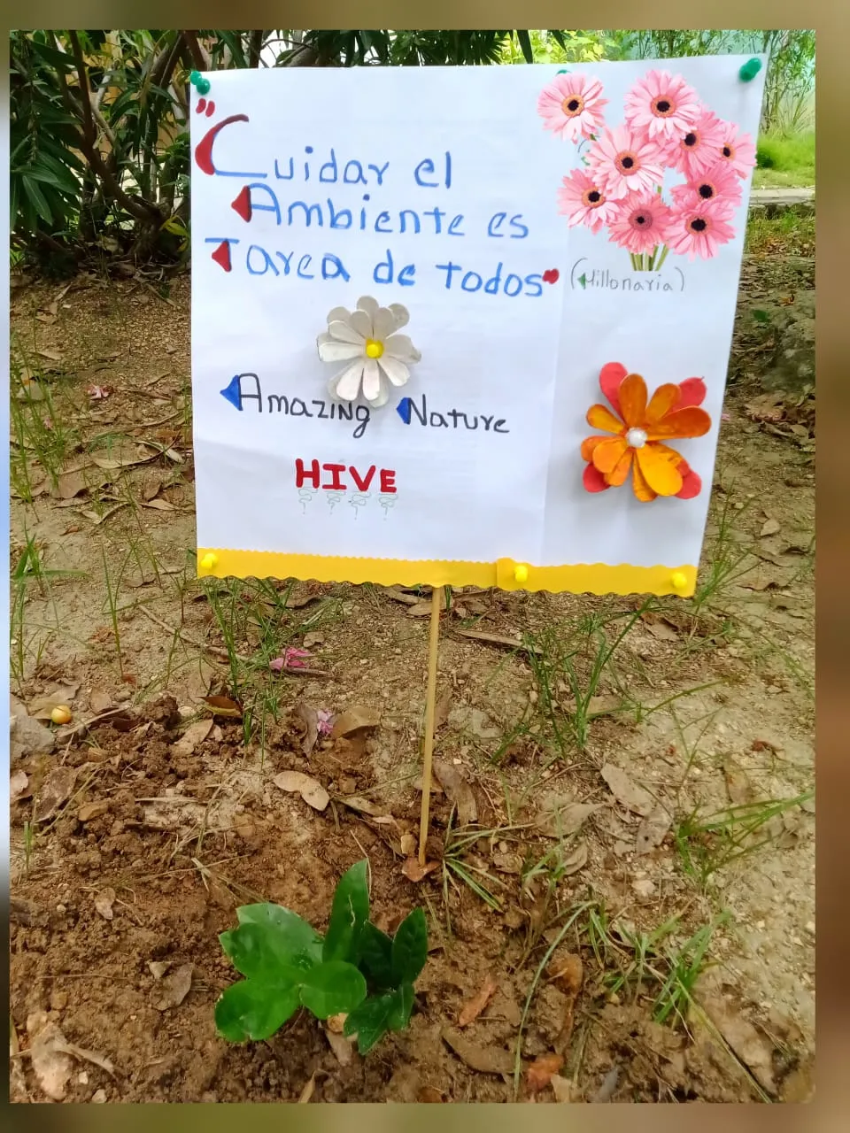 plant a tree (10).jpeg