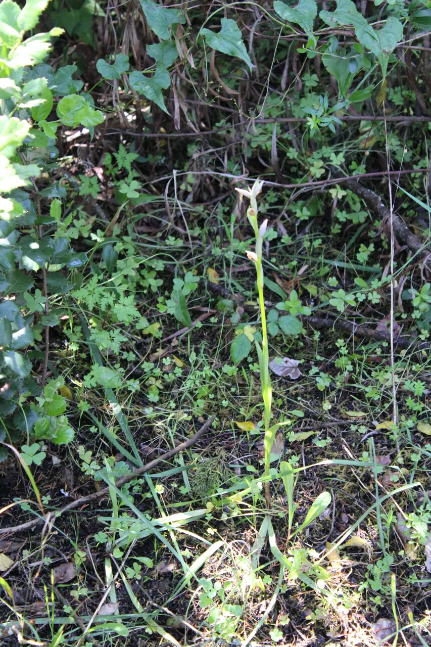 IMG_0090.JPG