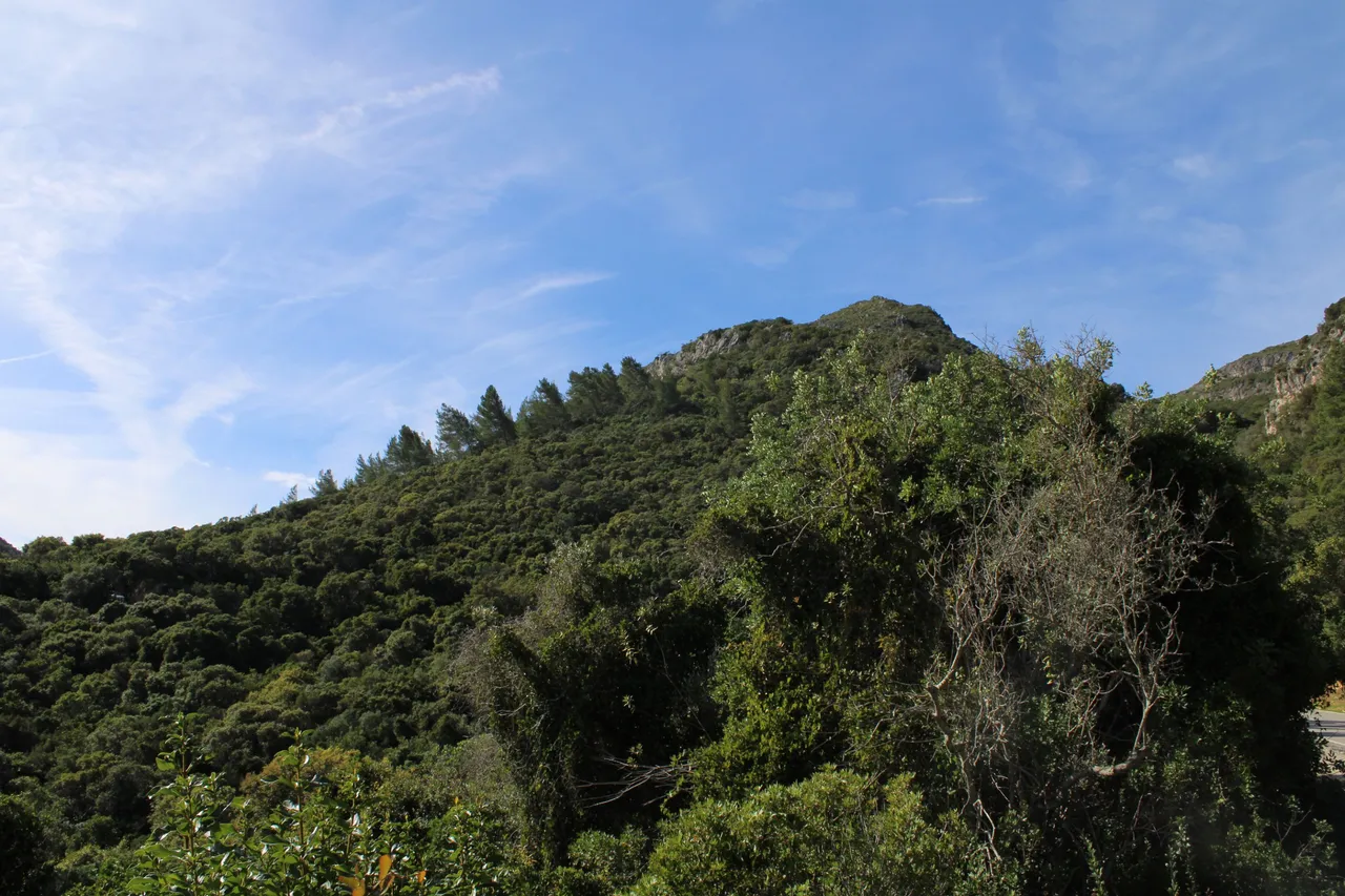 IMG_7564.JPG