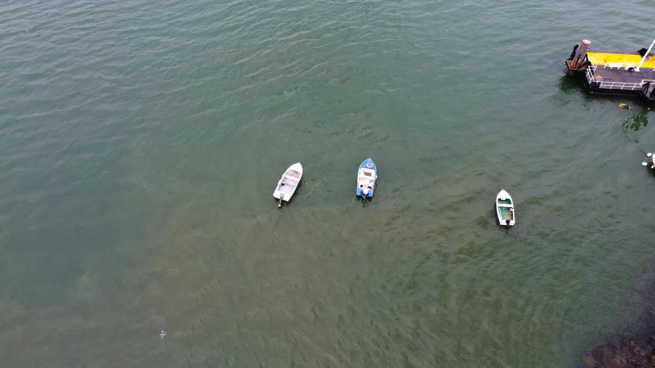 DJI_0354.JPG