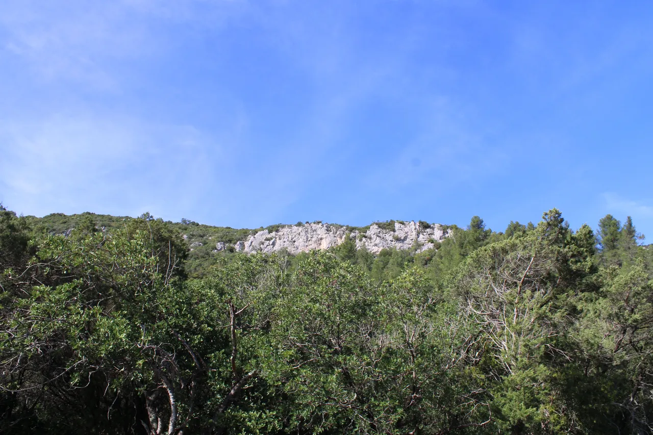 IMG_7546.JPG