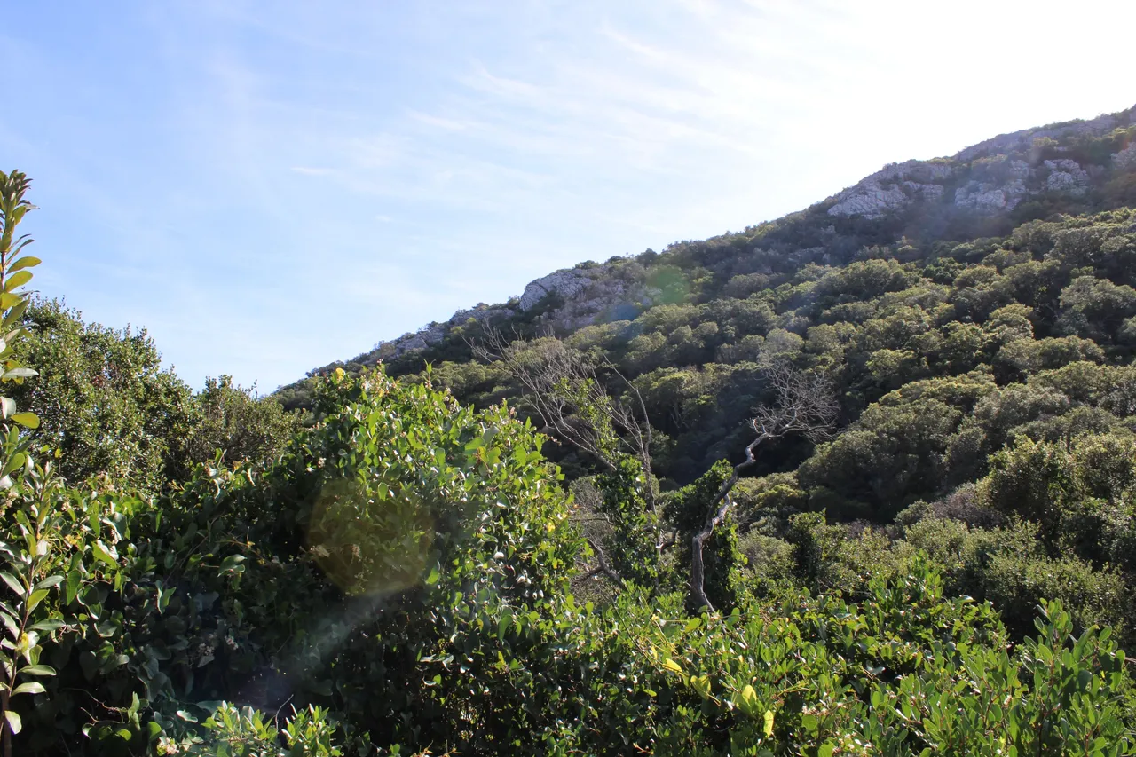 IMG_7538.JPG