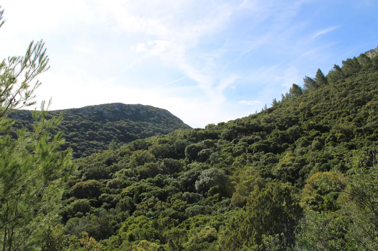 IMG_7567.JPG