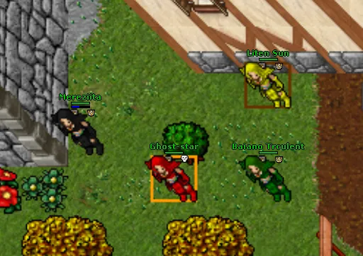 pvp014.png