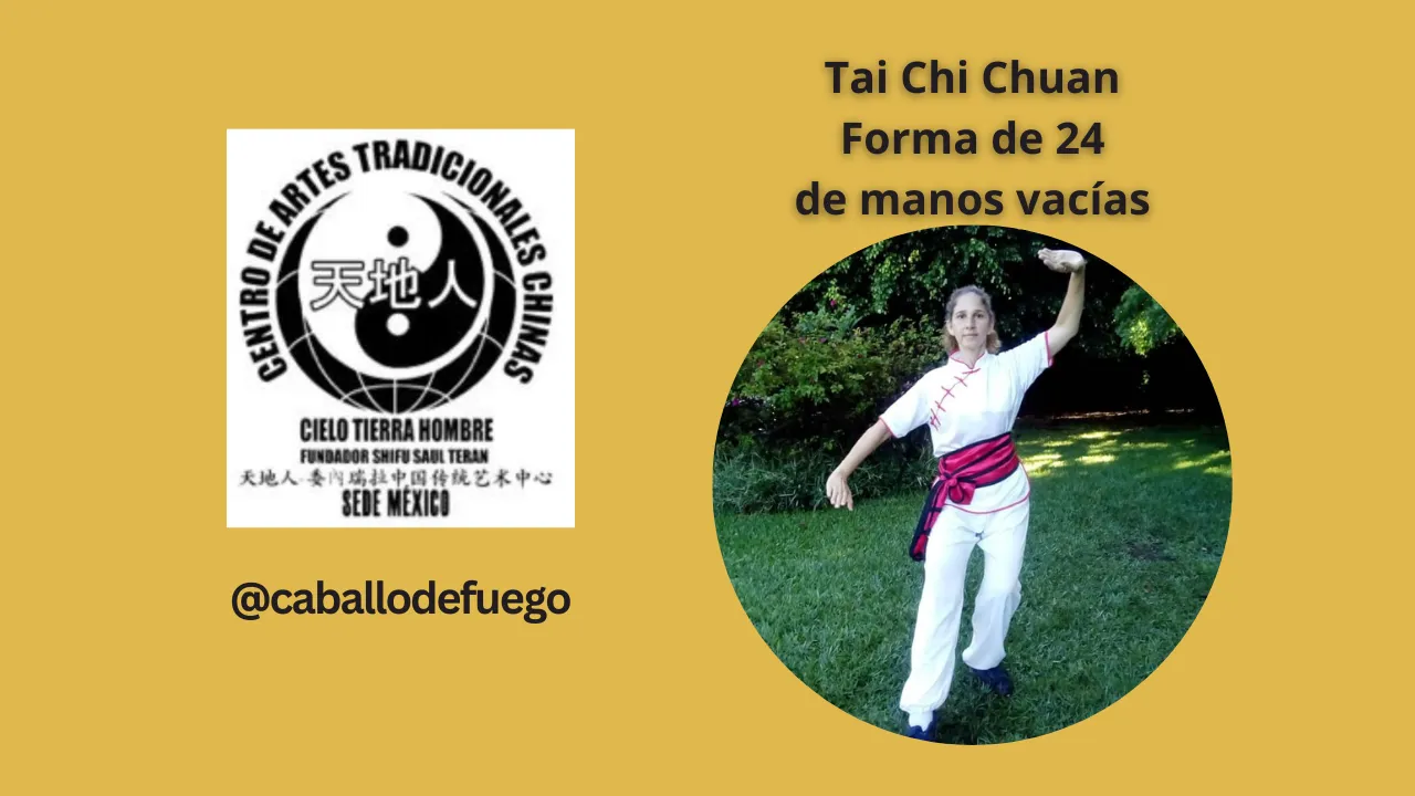 TAI CHI CHUAN.png