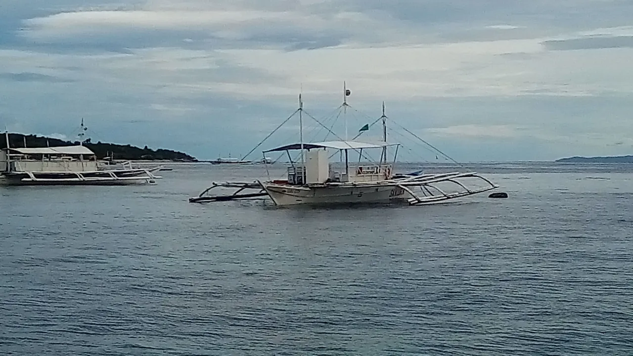 P_20191027_153253.jpg