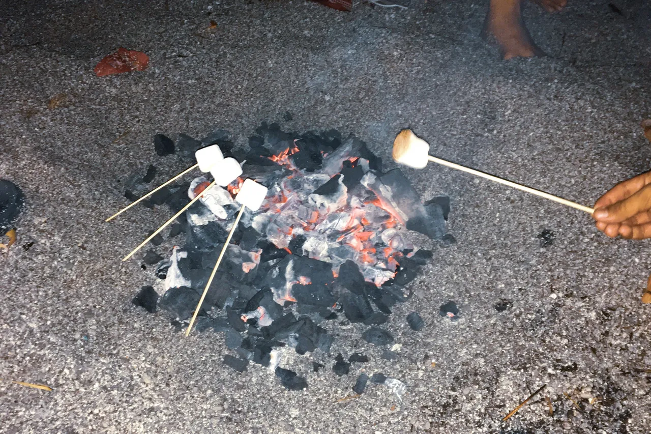 6.JPG