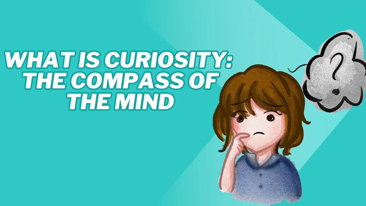 Banner.jpg