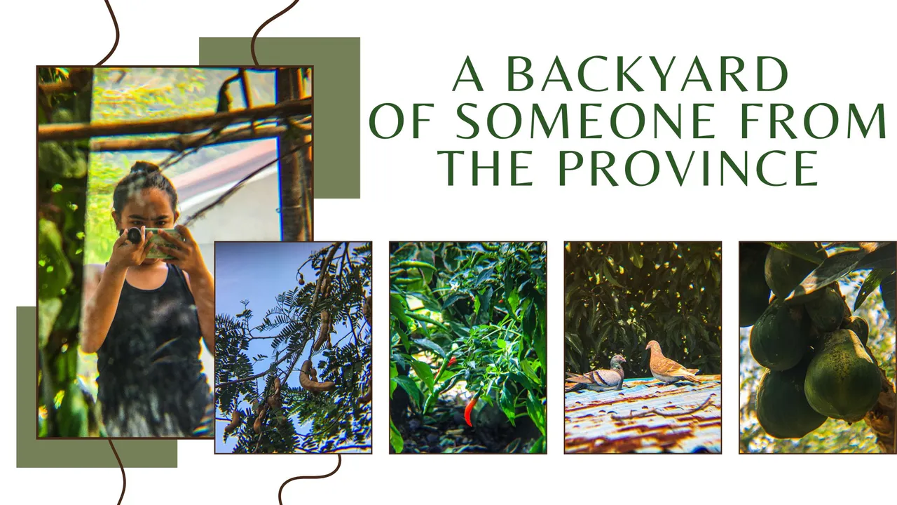 Brown Minimalist Beauty Blog Banner.jpg