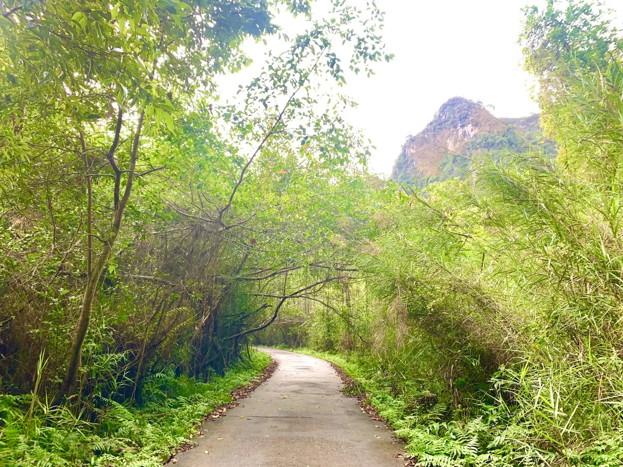 viet-hai-village-17.jpg
