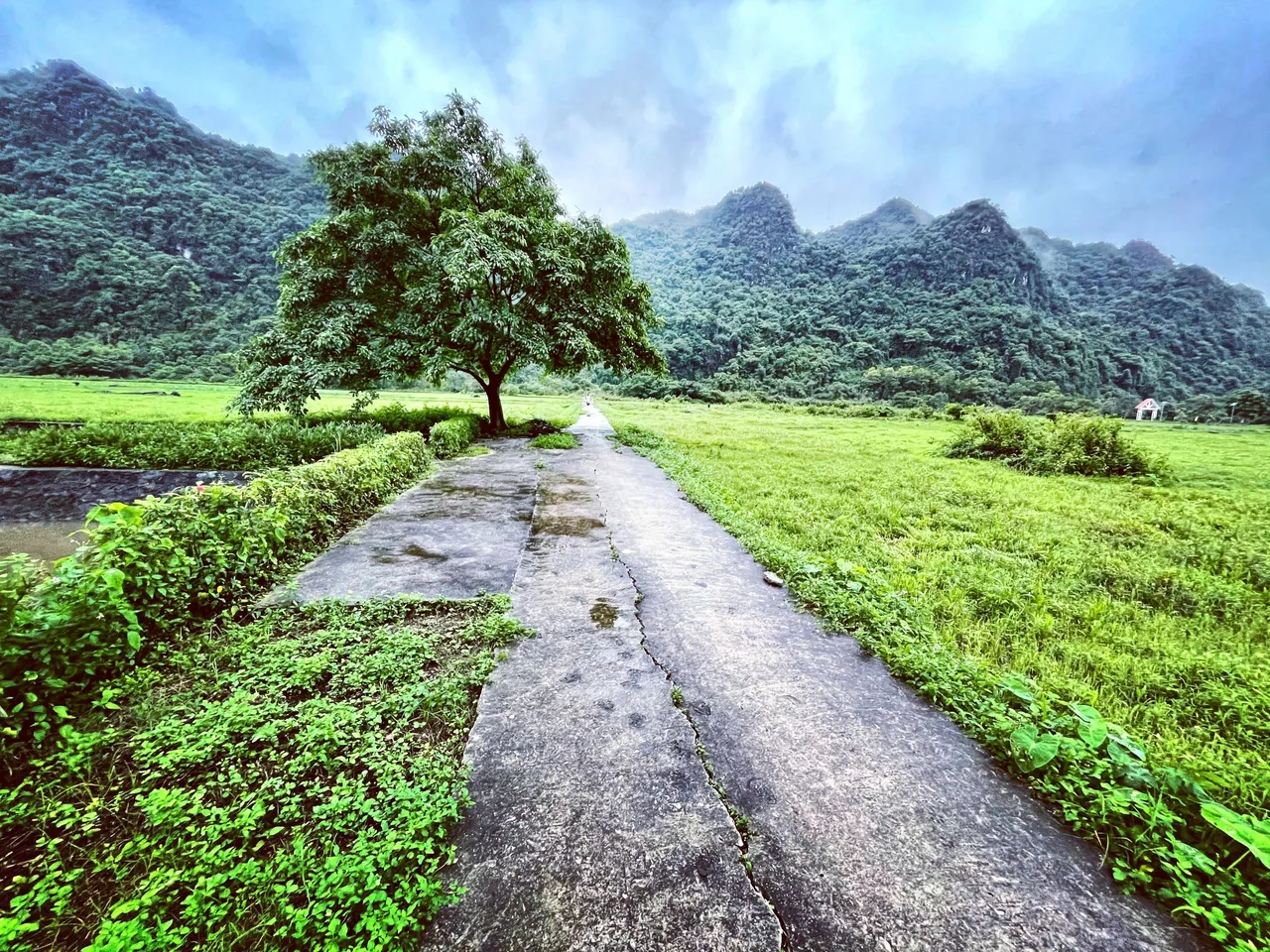 viet-hai-village-19.jpg