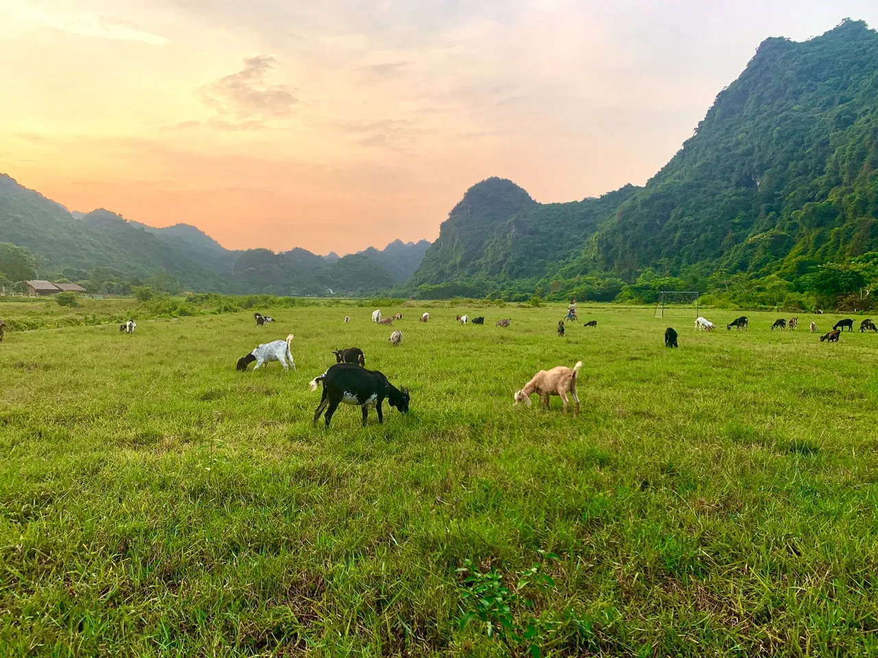 viet-hai-village-1.jpg