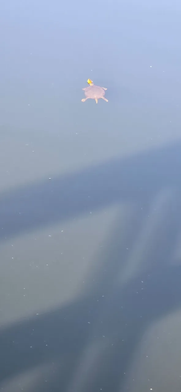 1000005497.jpg