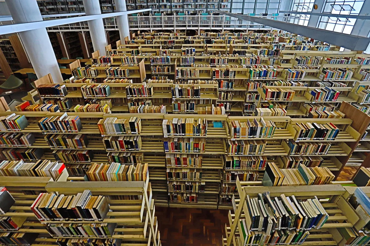 bibliotecapublicapr_010.jpg