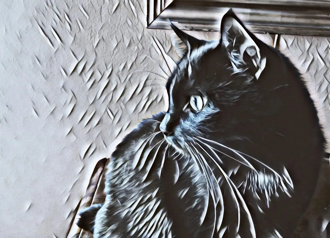 CCC042-ArtyCat.jpg