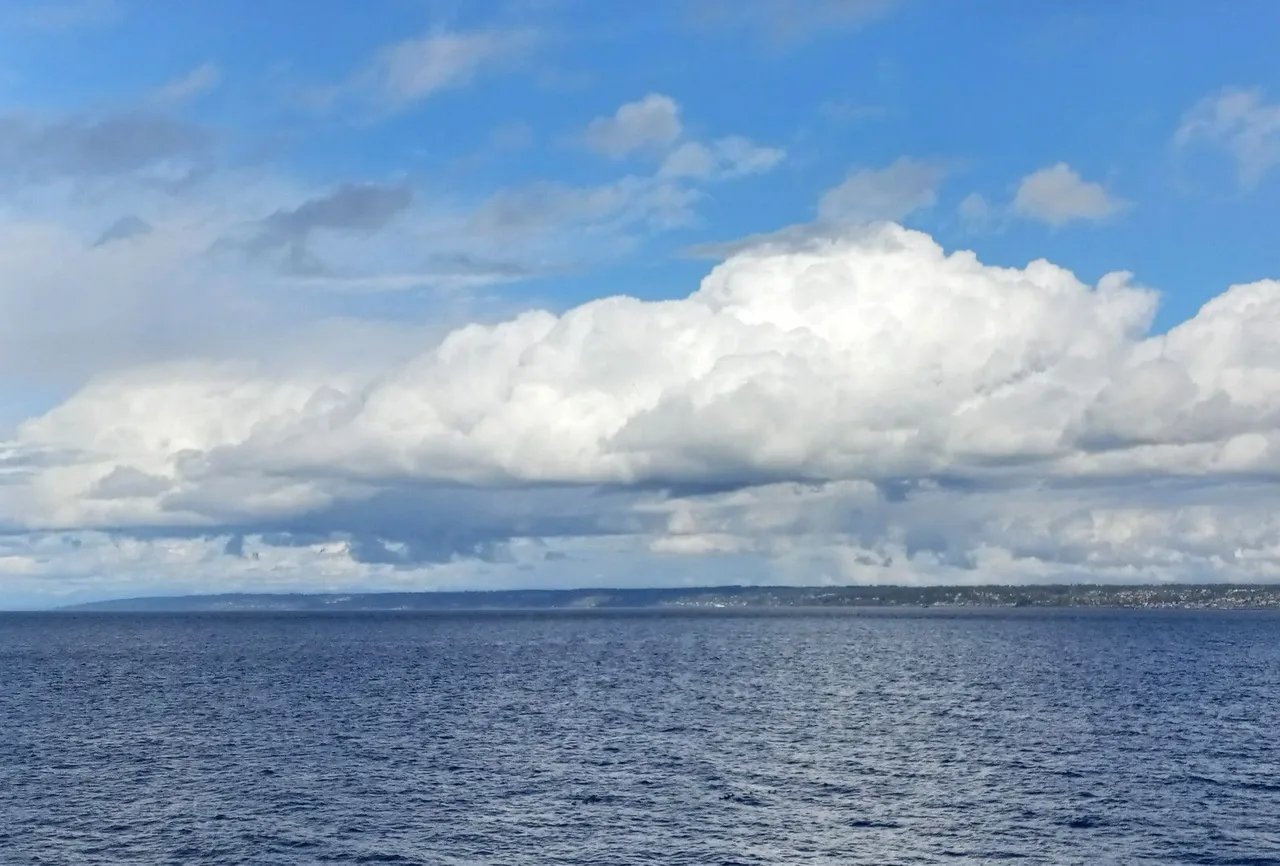 CCP-168-Ocean.JPG