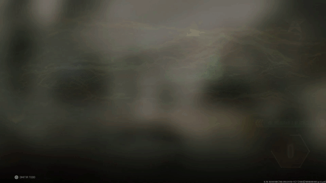 Mi video4.gif