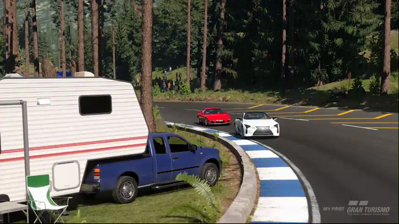 carrera3.gif