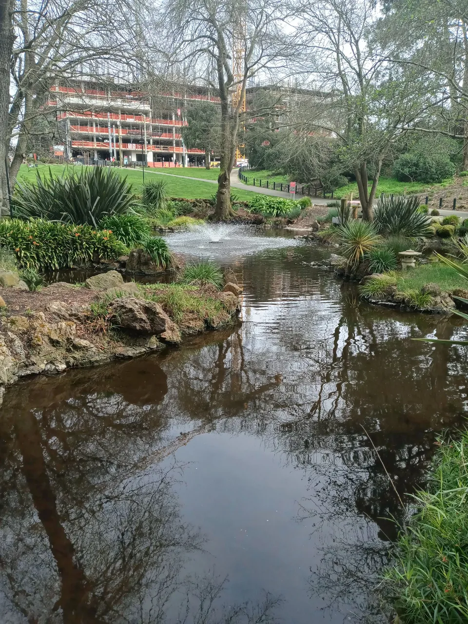 20240304_141503_HDR.jpg
