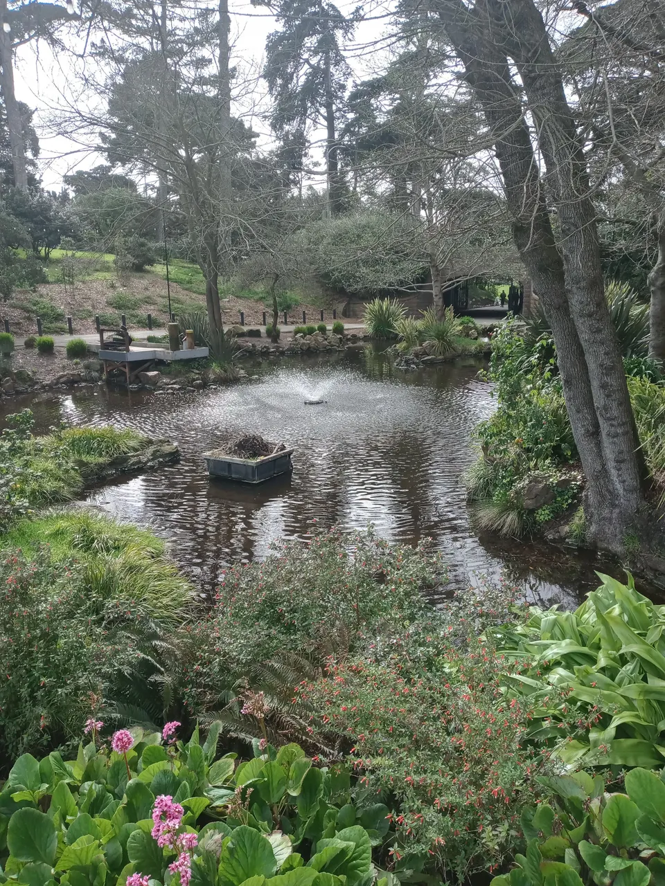 20240304_141315_HDR.jpg
