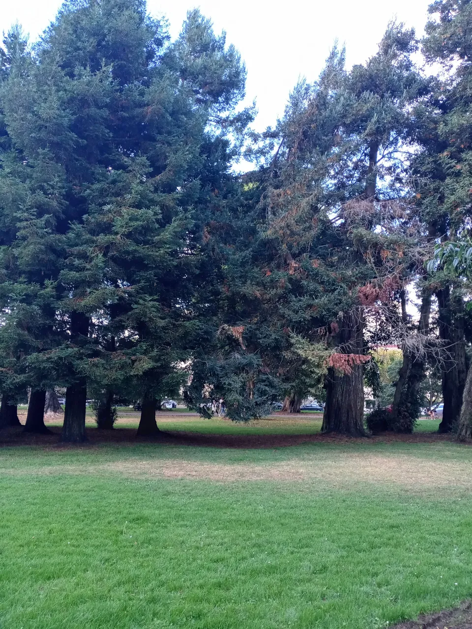 20231016_161937_HDR.jpg