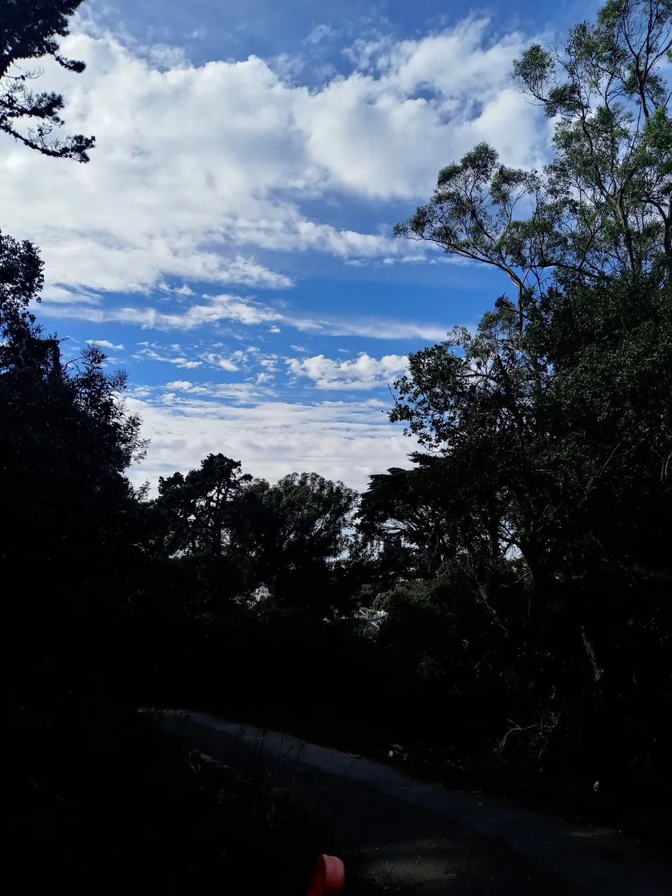 20231016_153133_HDR.jpg