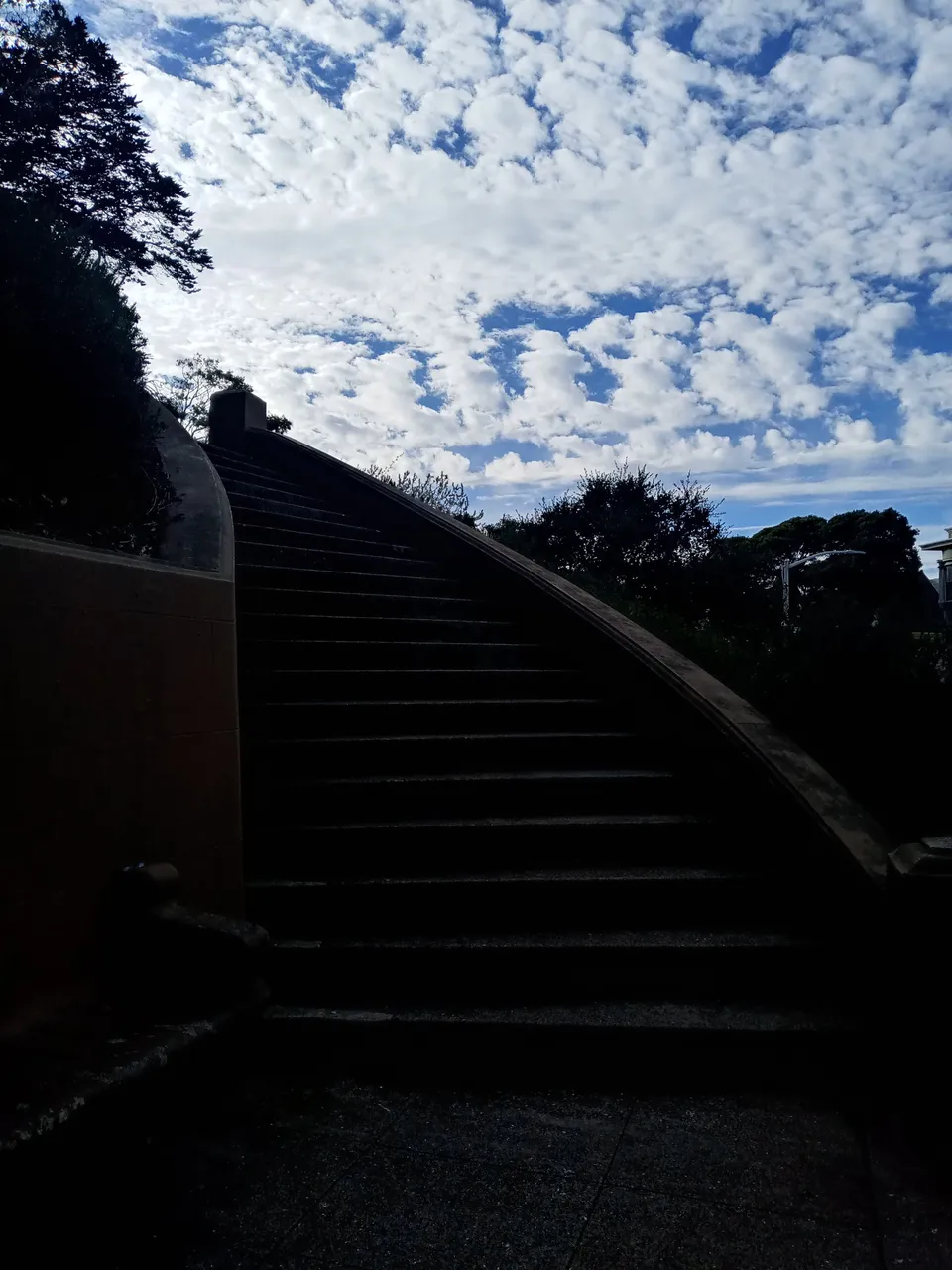 20231016_155728_HDR.jpg