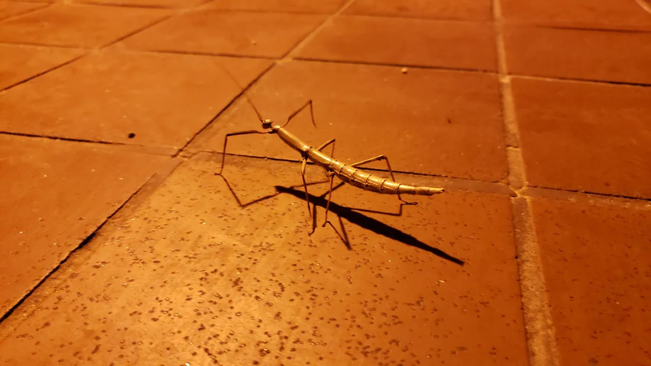 20181021_222133.jpg