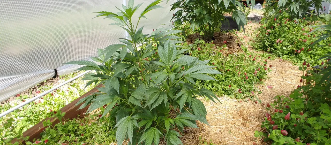 20220626_124417_HDR.jpg