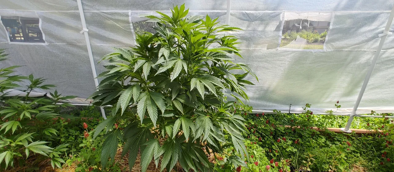 20220626_124311_HDR.jpg