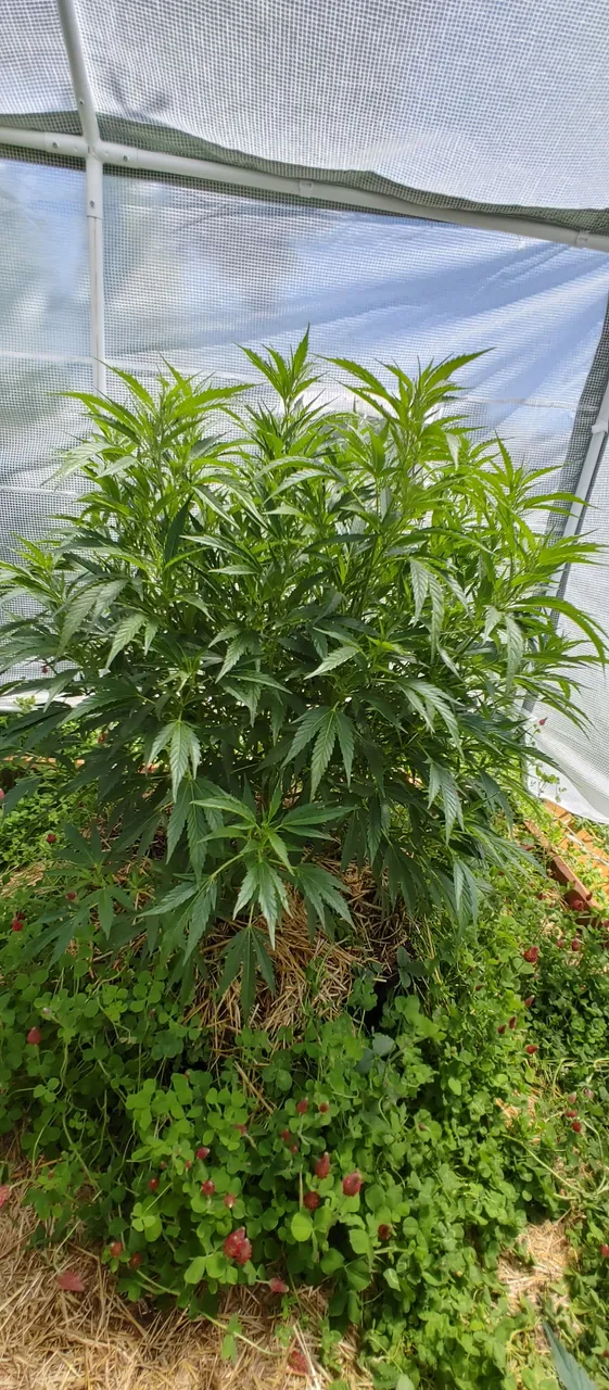 20220626_124402_HDR.jpg