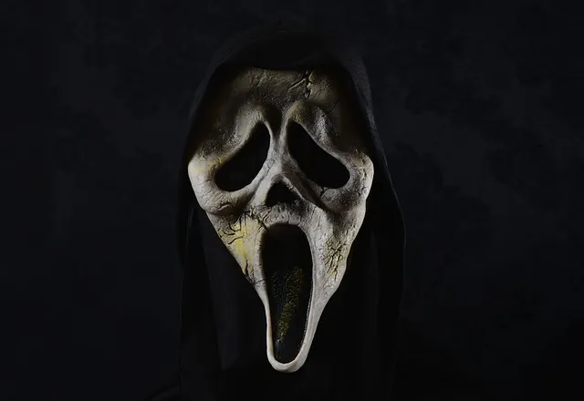 mask-gcaa4daa29_640.jpg