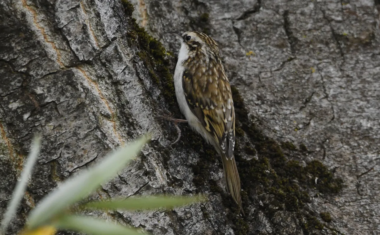 DSC_0644.jpg