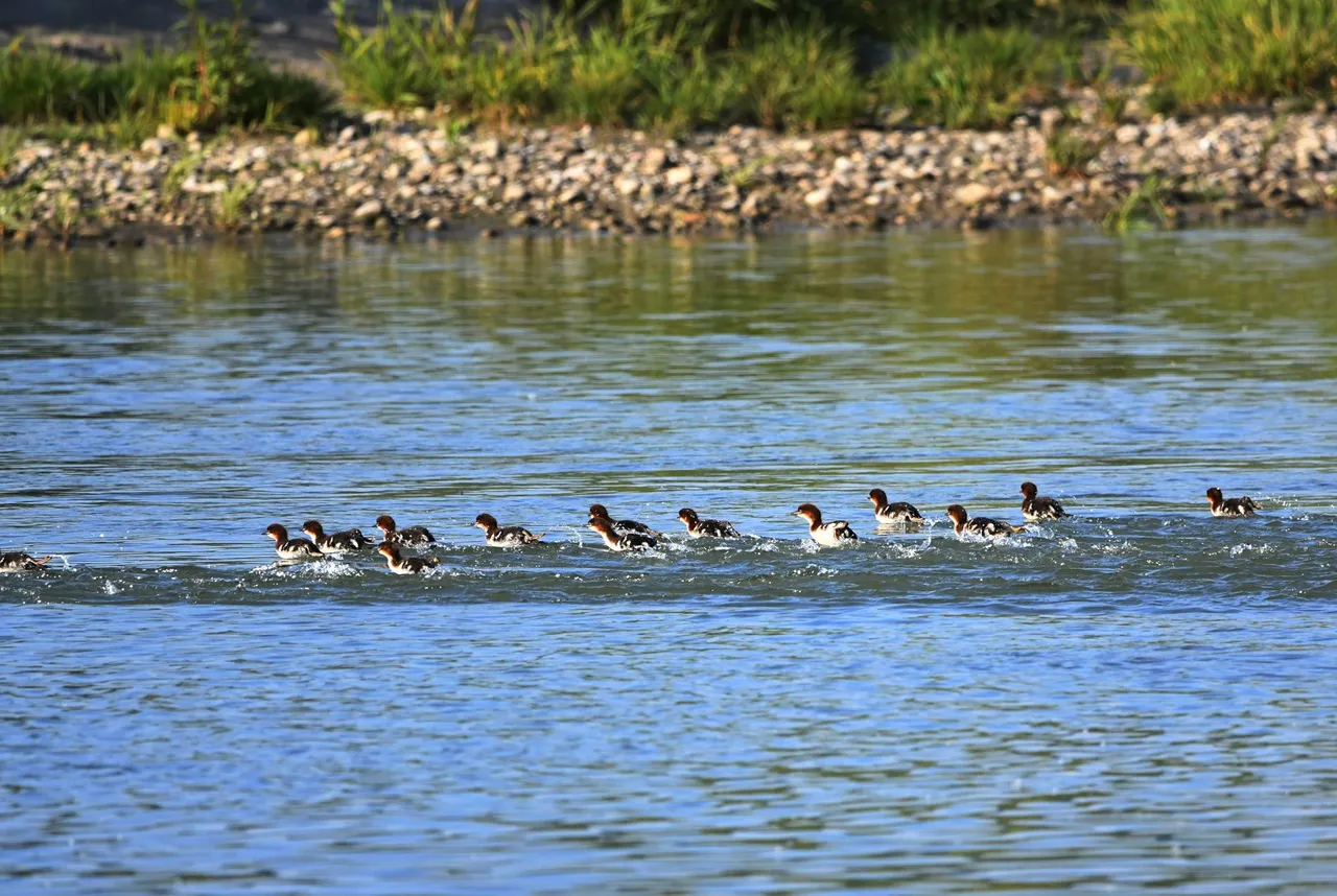 DSC_9425.jpg