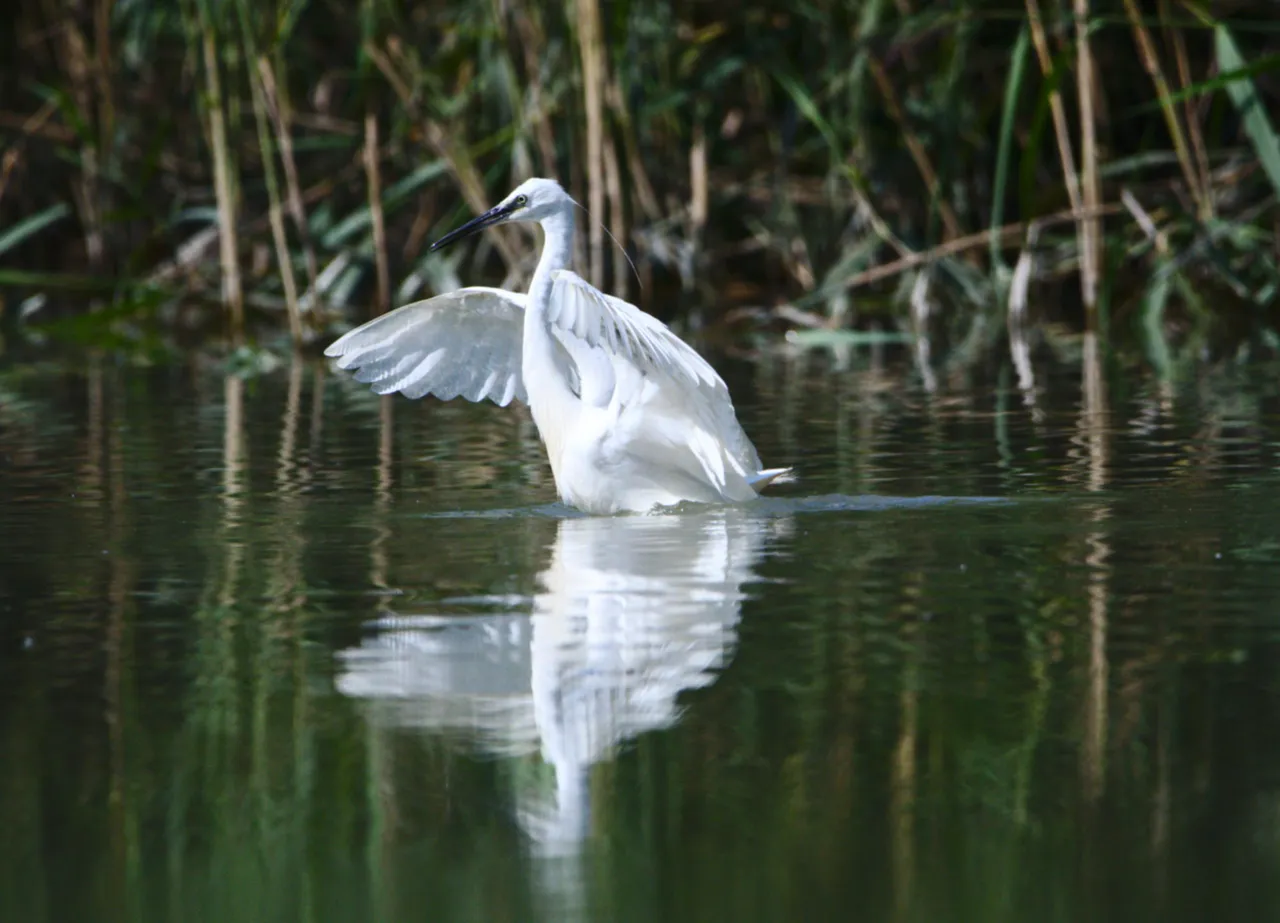 DSC_6863.jpg