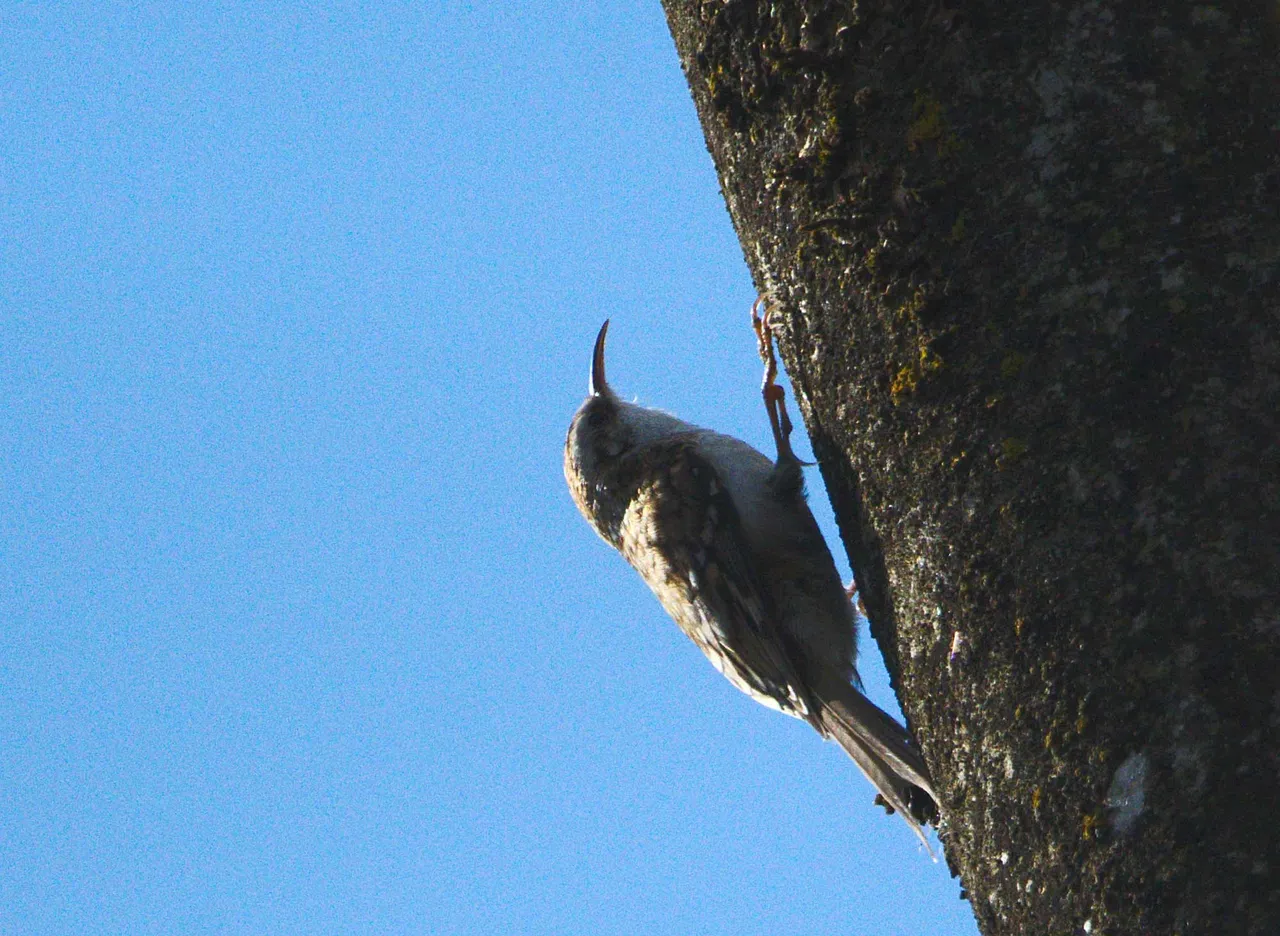 DSC_7583.jpg