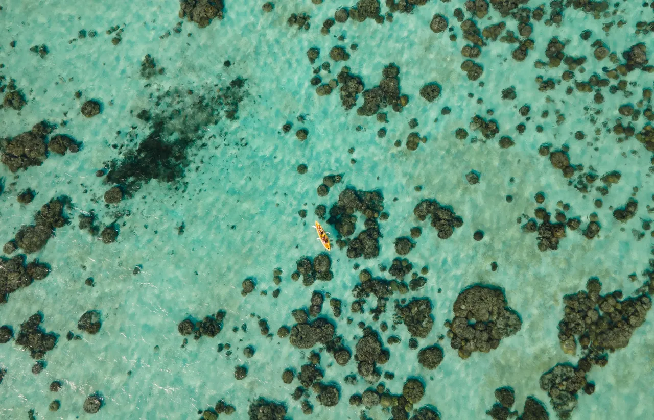 DJI_0079.jpg