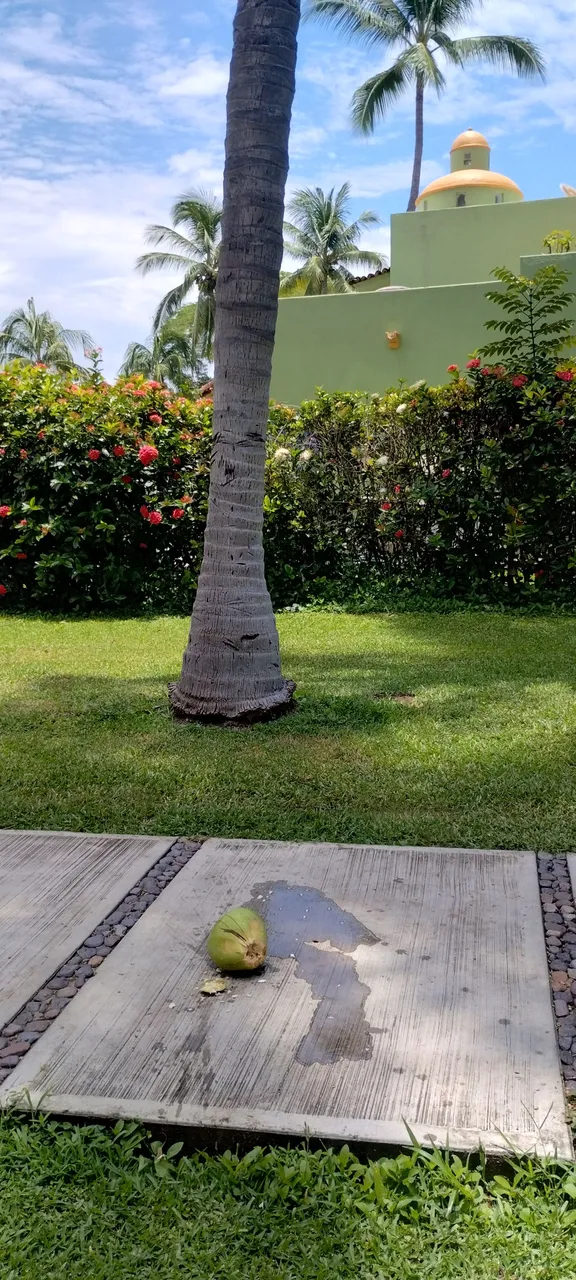 1000650692.jpg