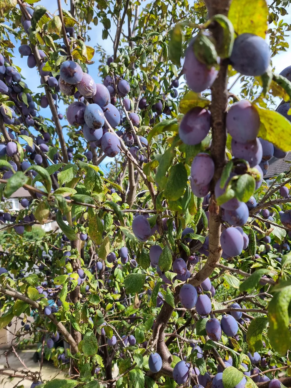 20220913_122815.jpg