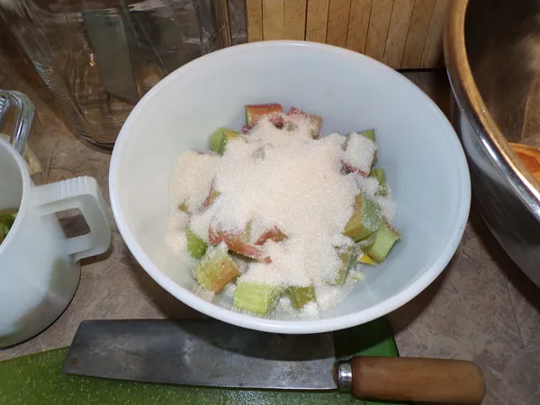 Rhubarb marmalade  rhubarb with sugar crop June 2020.jpg