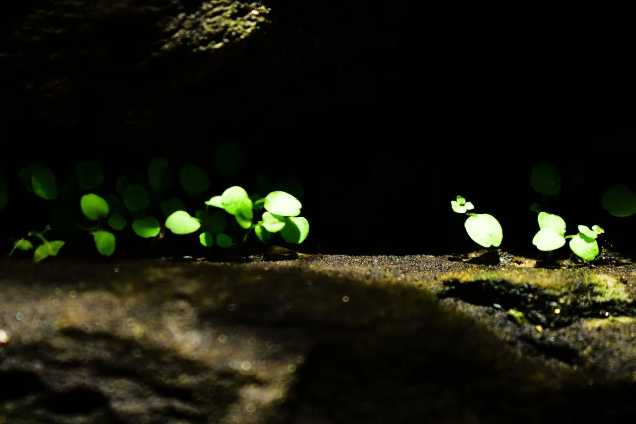 _DSC0010_2.jpg