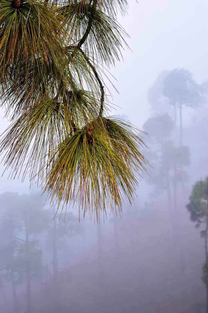 DSC_3283.jpg