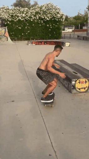 halcab nose body varial.gif