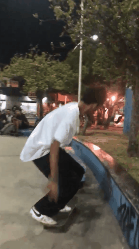 fs blunt.gif